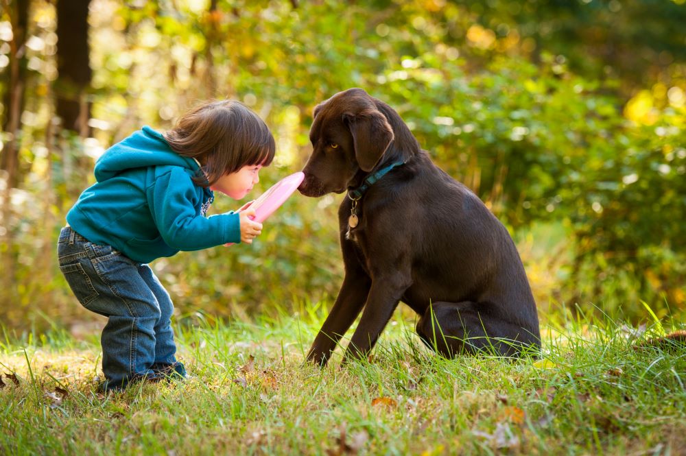 hundefrisbee 1