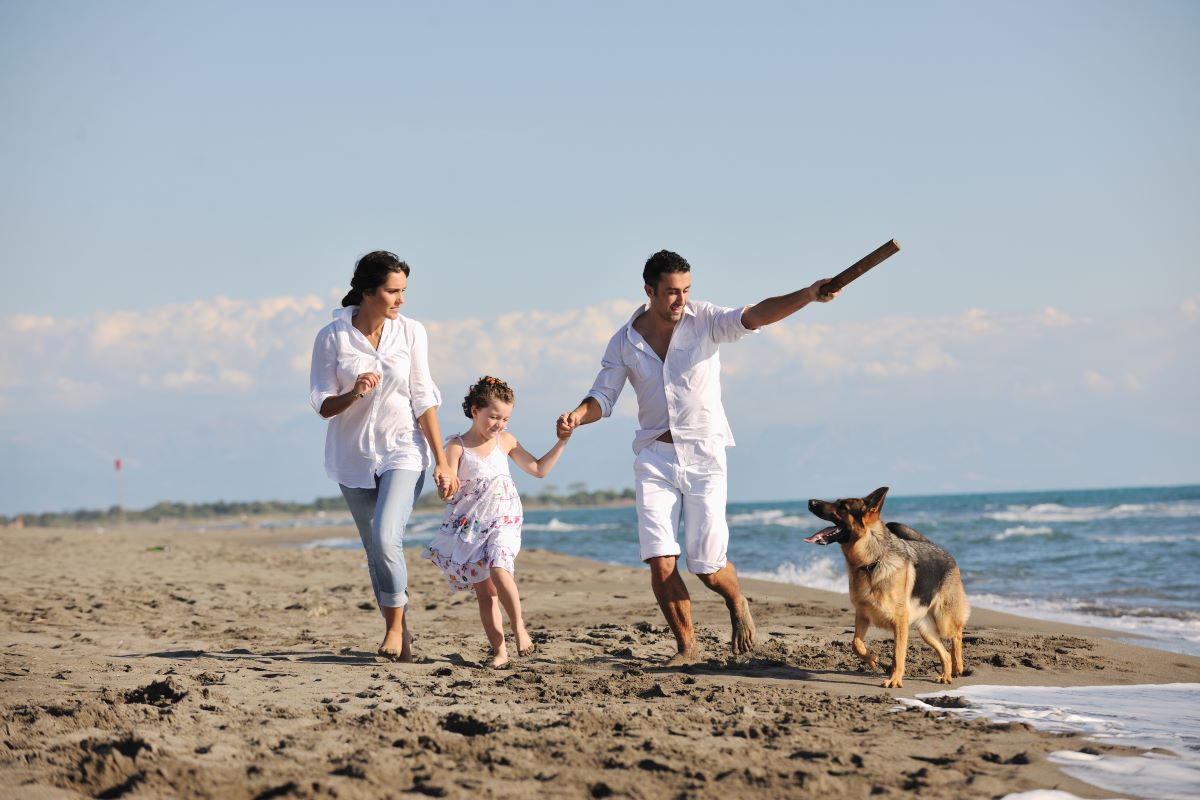 hundestrand buesum 2