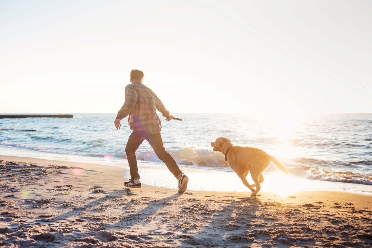 hundestrand fehmarn 1