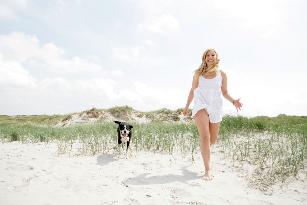 hundestrand ostsee 2