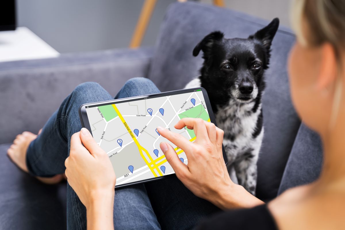 hundetracker