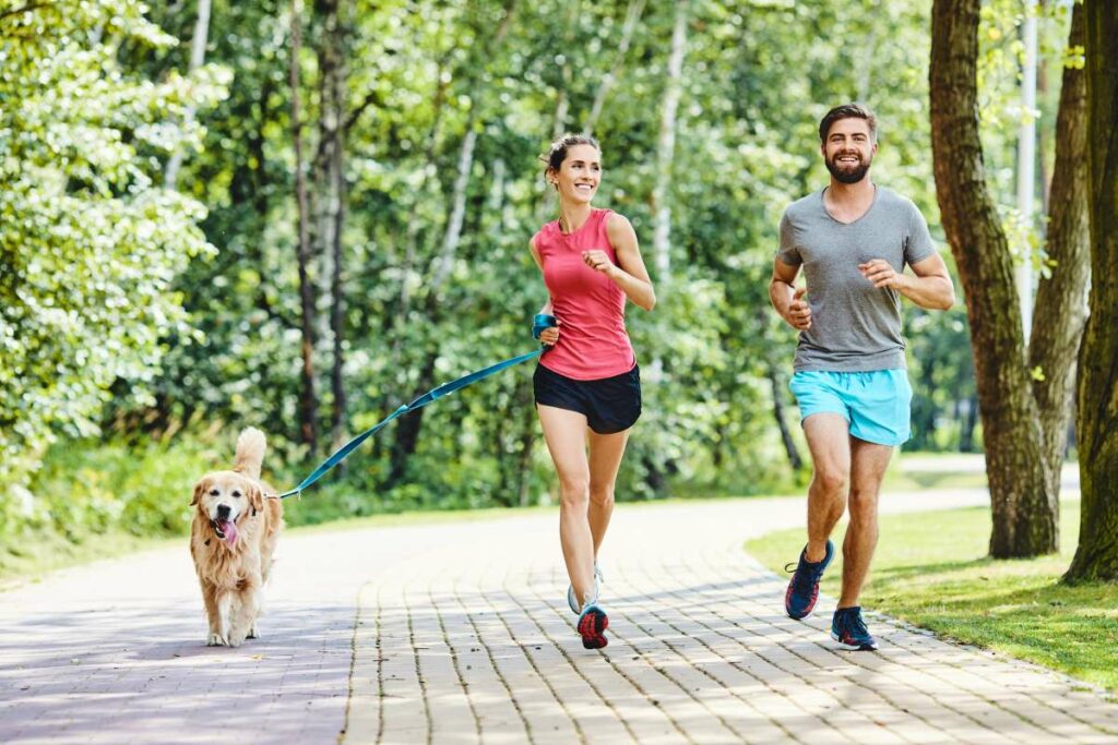 joggen mit hund 1 1