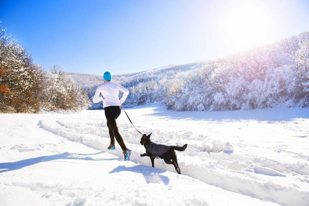 joggen mit hund 3 1