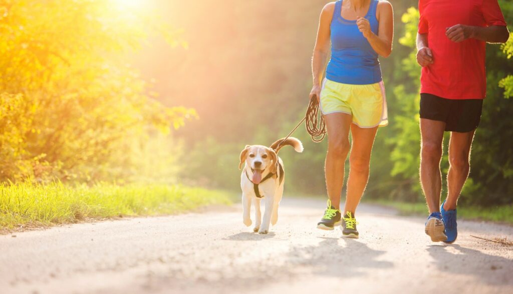 joggen mit hund 4 1