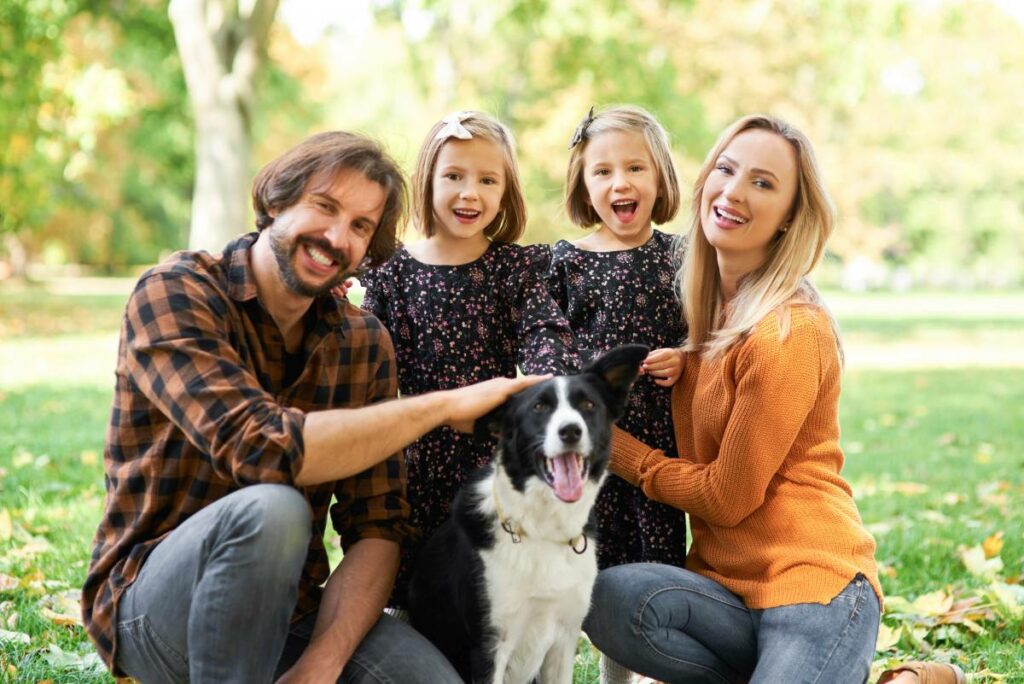 Border Collie Erziehung1