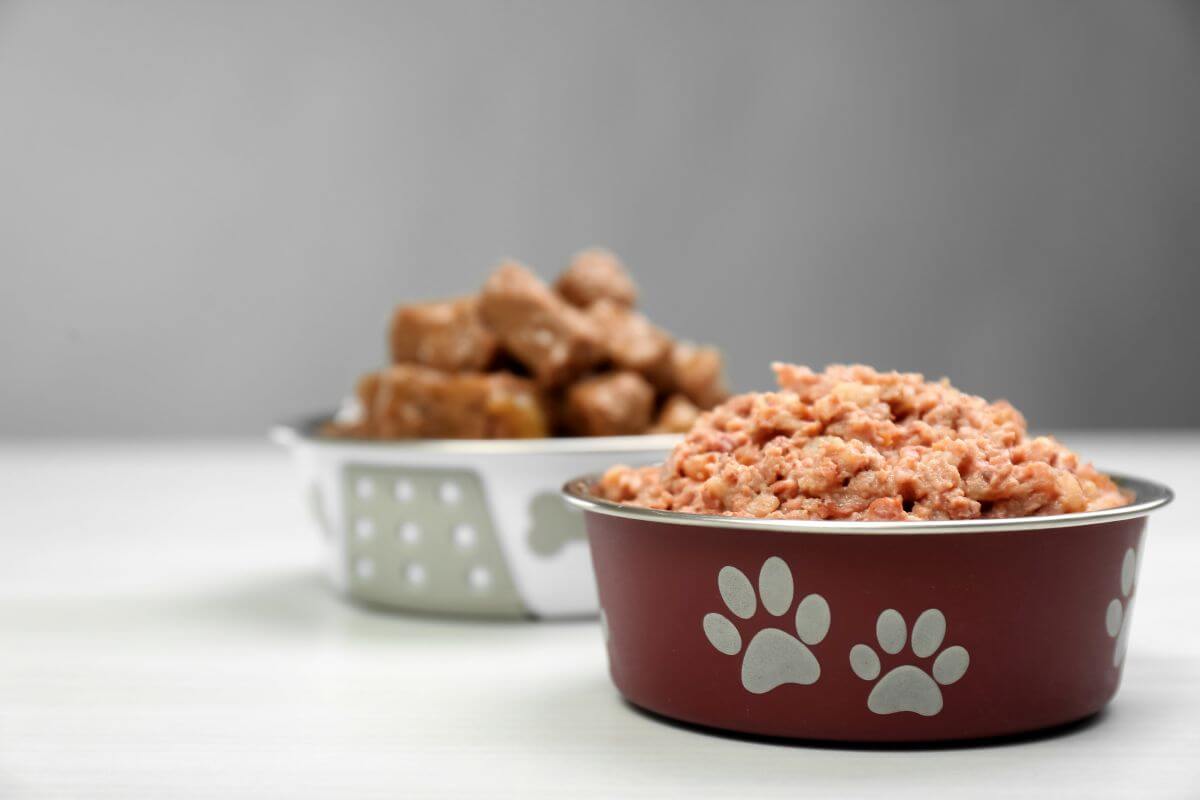 Hundefutter