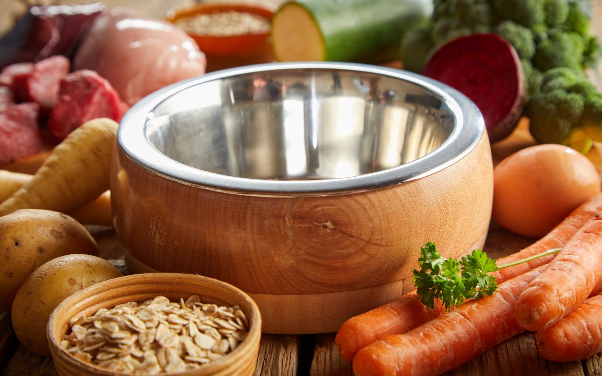 hundefutter selber machen 4