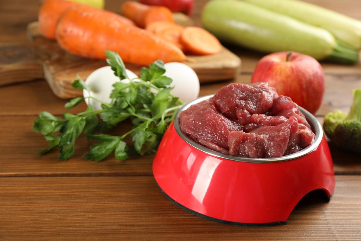 hundefutter selber machen 5