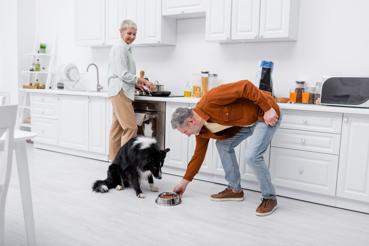 hundefutter selber machen 7