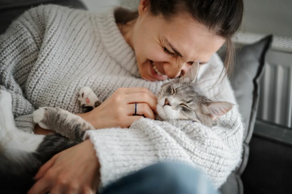 leiden katzen wenn man im urlaub ist 3