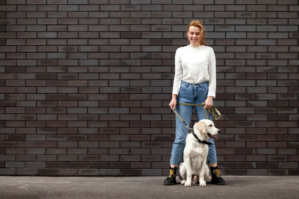 Hund bleibt stehen und geht nicht weiter