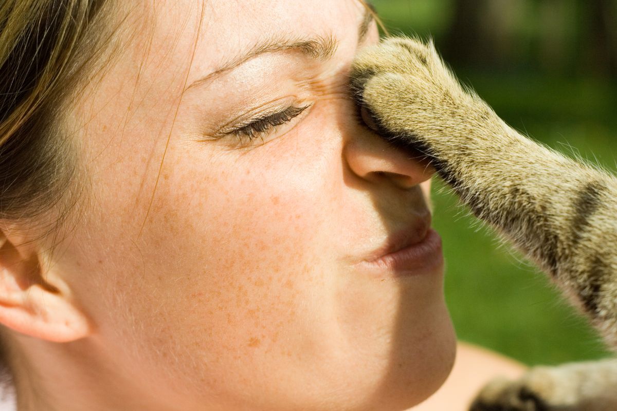 katze beruehrt mich mit pfote 1