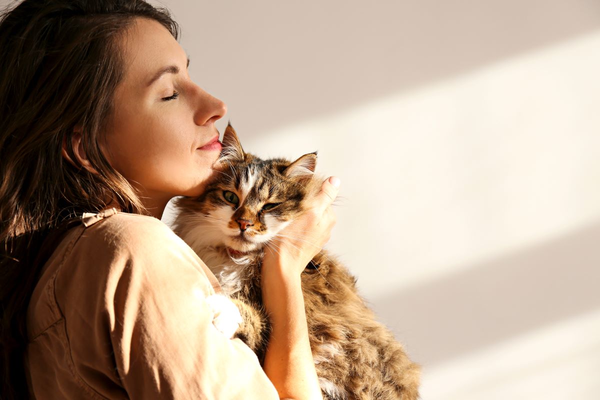 katzen fuer anfaenger 4