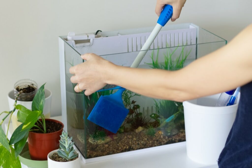 aquarium 3