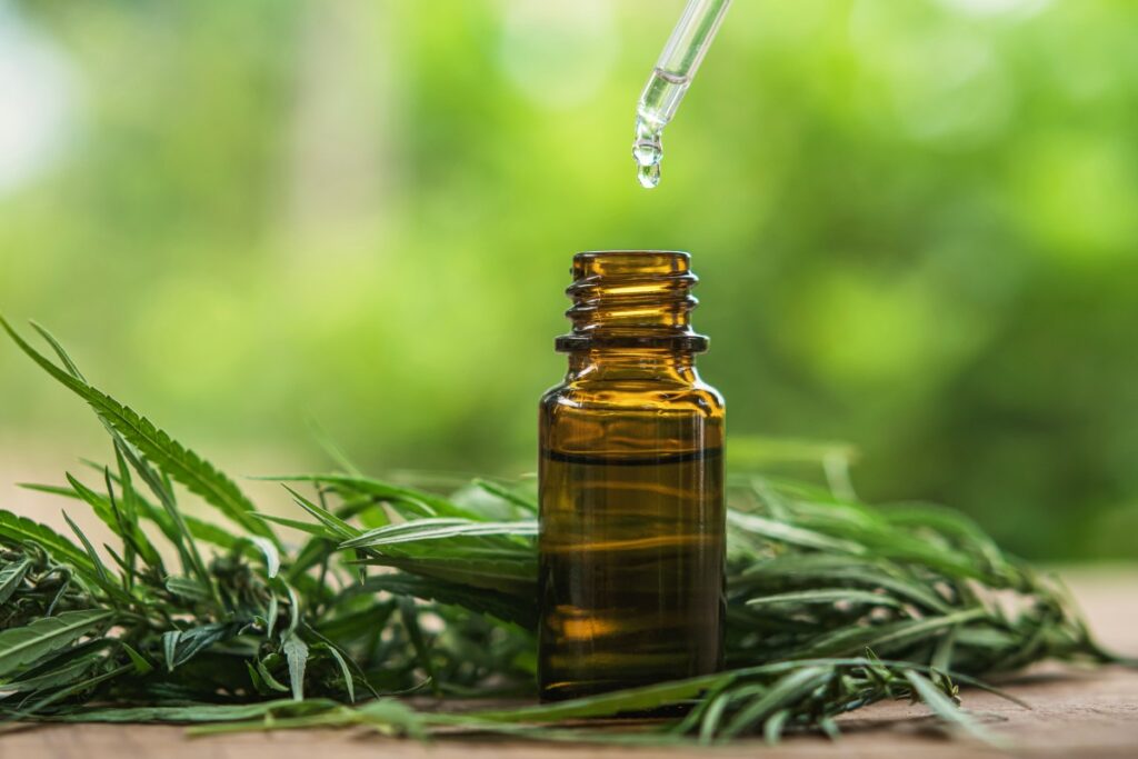 cbd öl für tiere