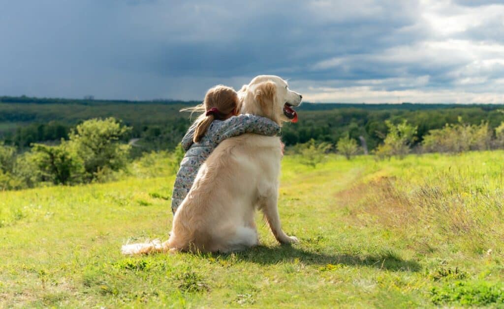 hundeversicherung kosten