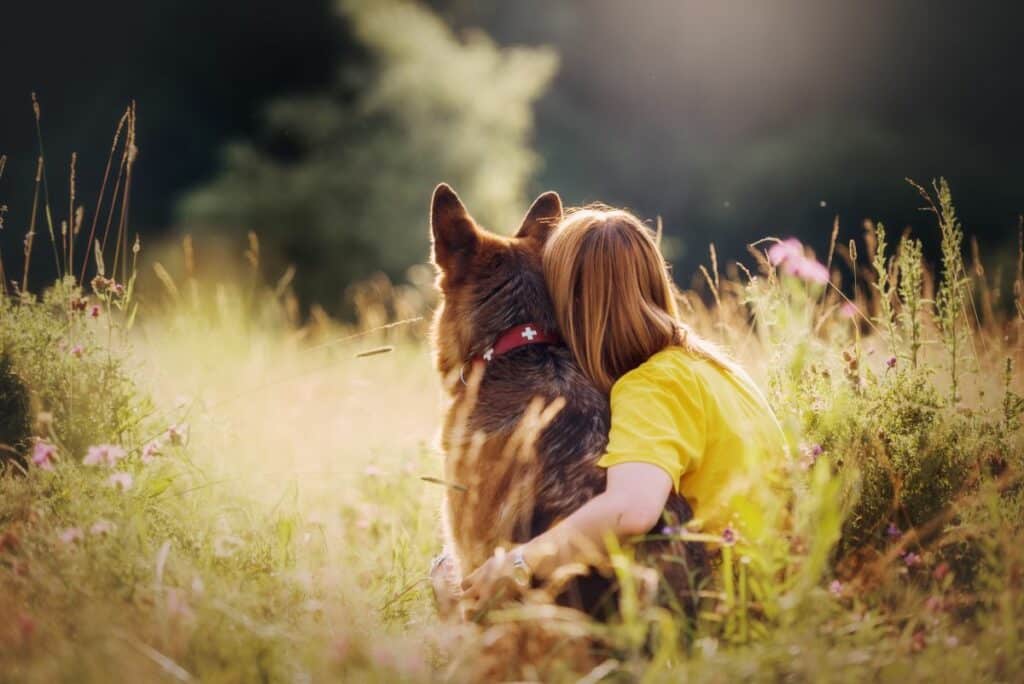 schaeferhund1