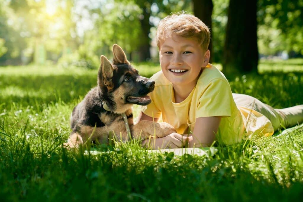 schaeferhund3
