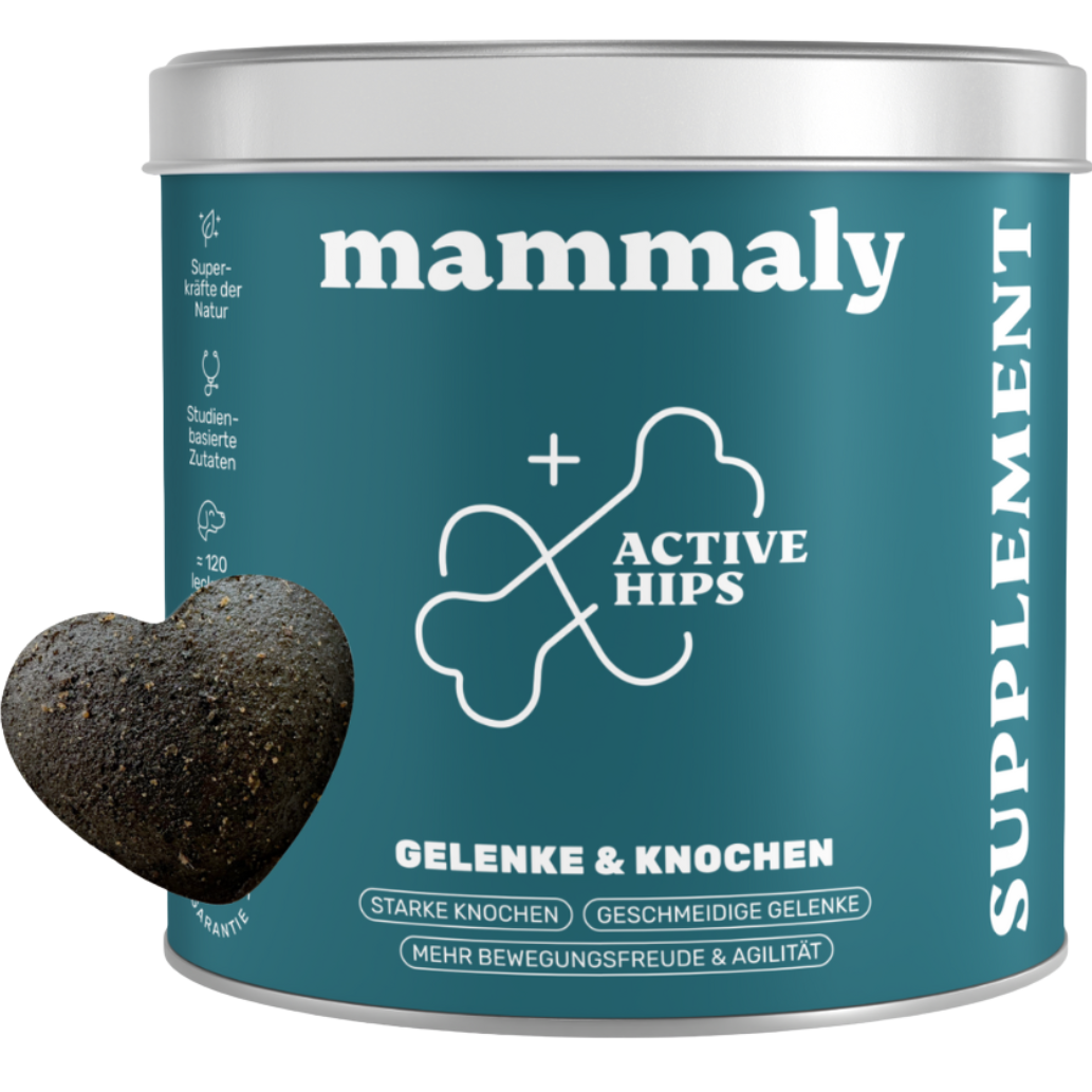 Mammaly Active Hips – Empfehlung
