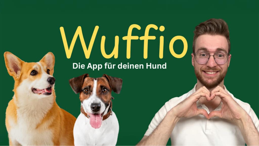 hundeernaehrung experte